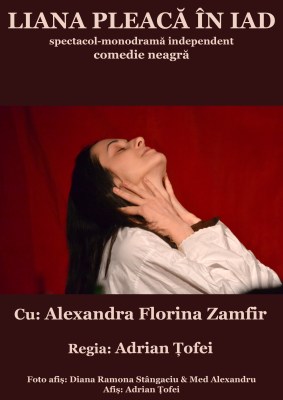 Alternative Romanian Poster